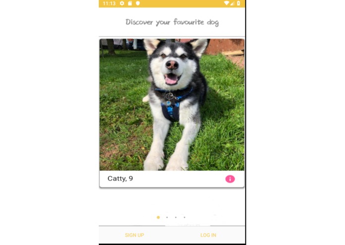 WalkYourDogs – screenshot 1