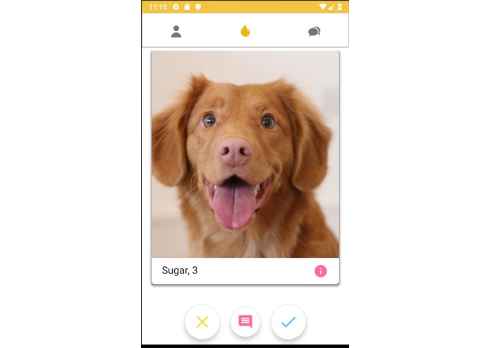 WalkYourDogs – screenshot 2