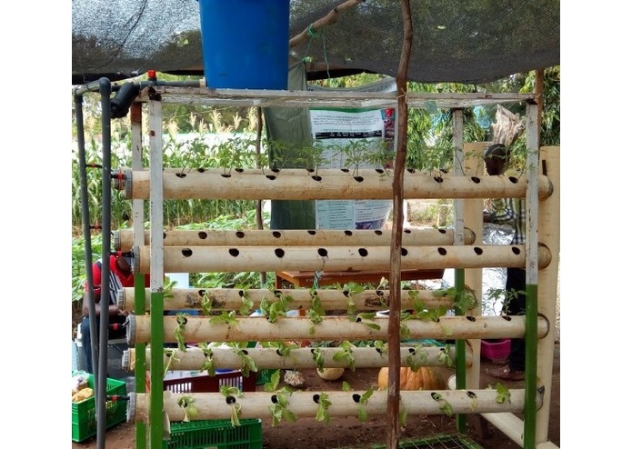 Mkulima Townie – screenshot 3