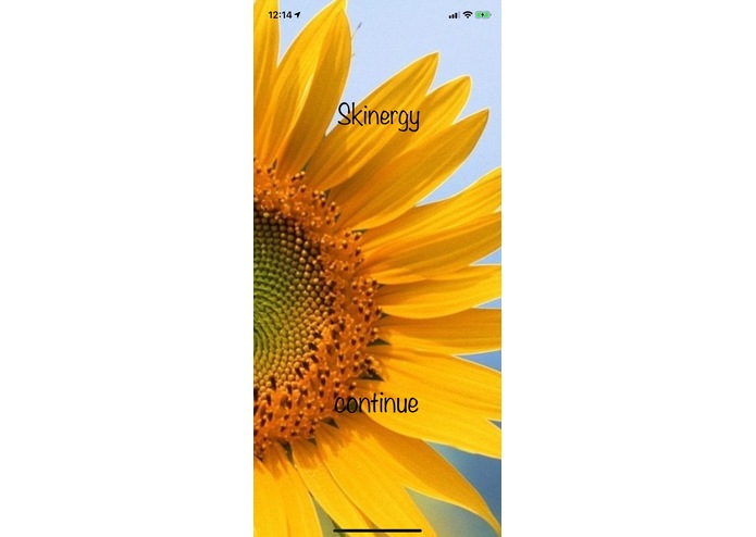 Skinergy – screenshot 1