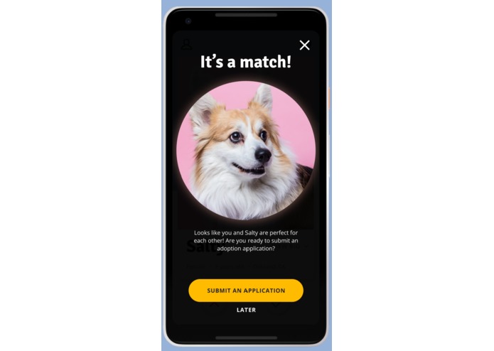 buddley – screenshot 7