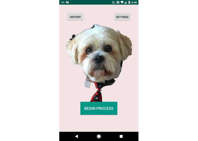 Project Winston - Your Car Insurance Companion – screenshot 1