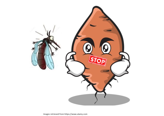Sustainable Mosquito Control – Safe Biopesticide Production – screenshot 1