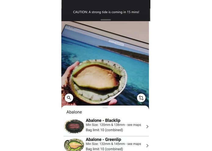FishGo – screenshot 4