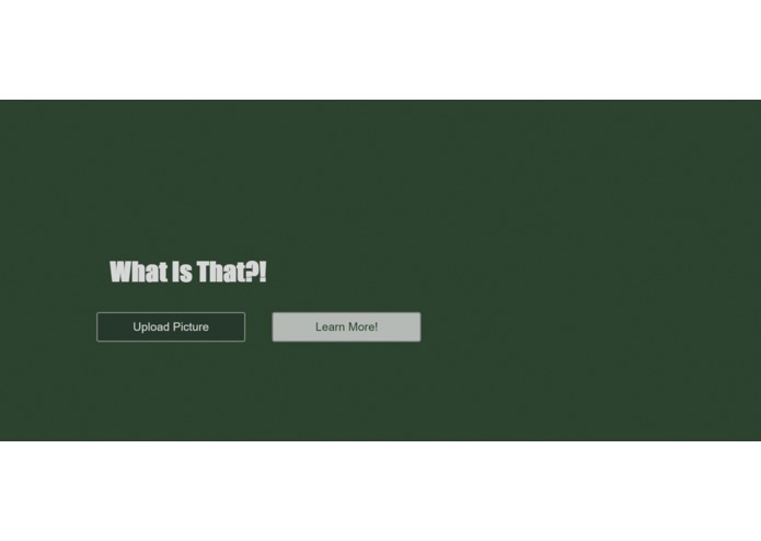 WhatIsThat?! – screenshot 2