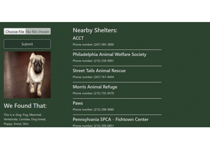 WhatIsThat?! – screenshot 1