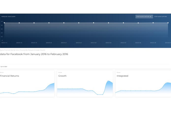 StockVoiceQuery – screenshot 3