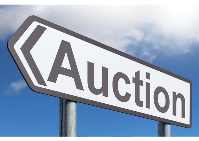 Private_Auction – screenshot 1