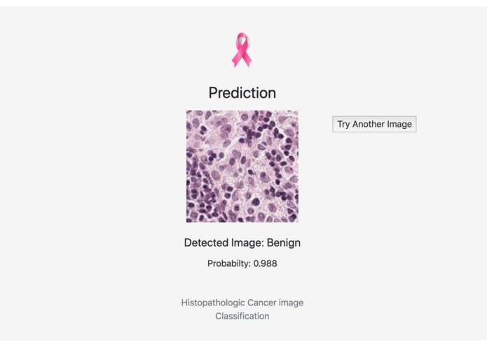Predict Health - Cancer Predication with PyTorch – screenshot 2