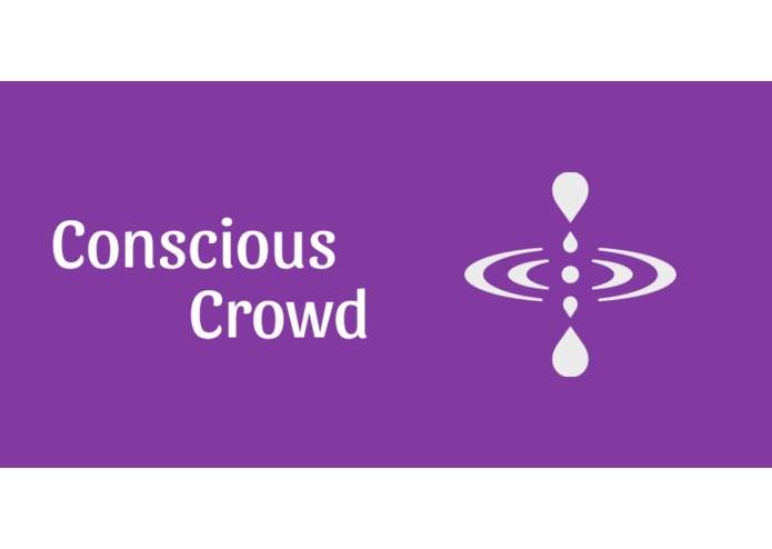 Conscious Crowd – screenshot 1