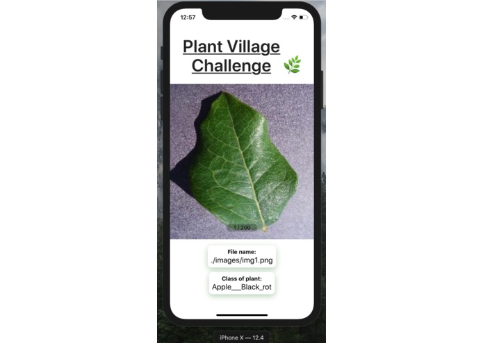 Flora – screenshot 1