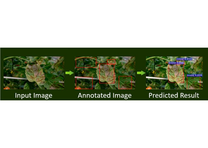 scarecrow.ai – screenshot 3