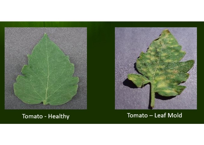 scarecrow.ai – screenshot 2