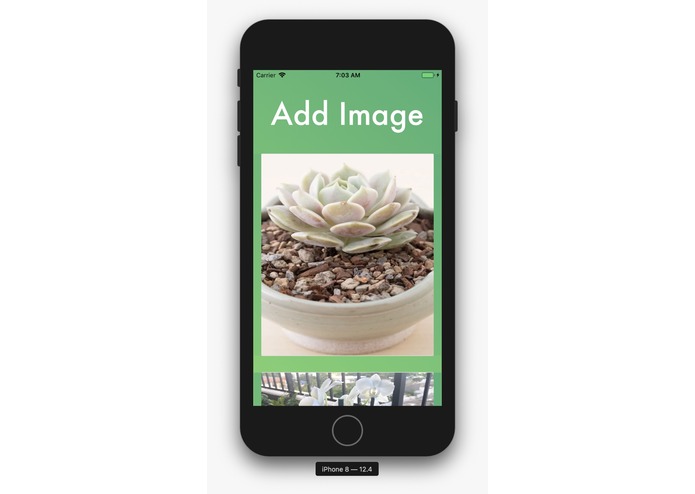 Blossom – screenshot 4