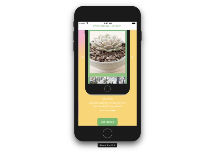 Blossom – screenshot 11
