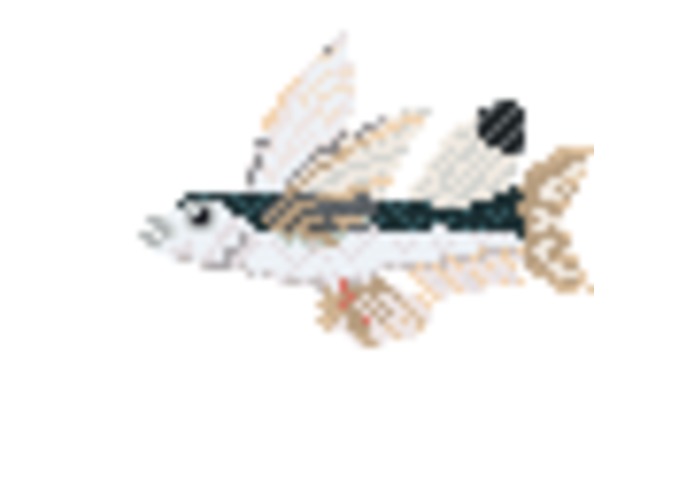 RockSkip – screenshot 2