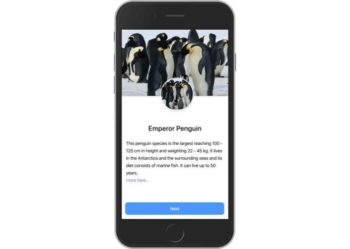 Peyond – screenshot 7