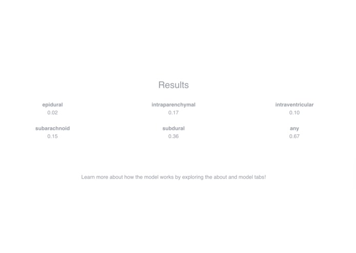 IHIT: Intracranial Hemorrhage Imaging Tool – screenshot 7