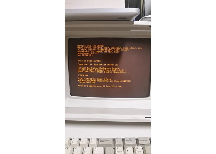 DOS on Dog Sleds – screenshot 2