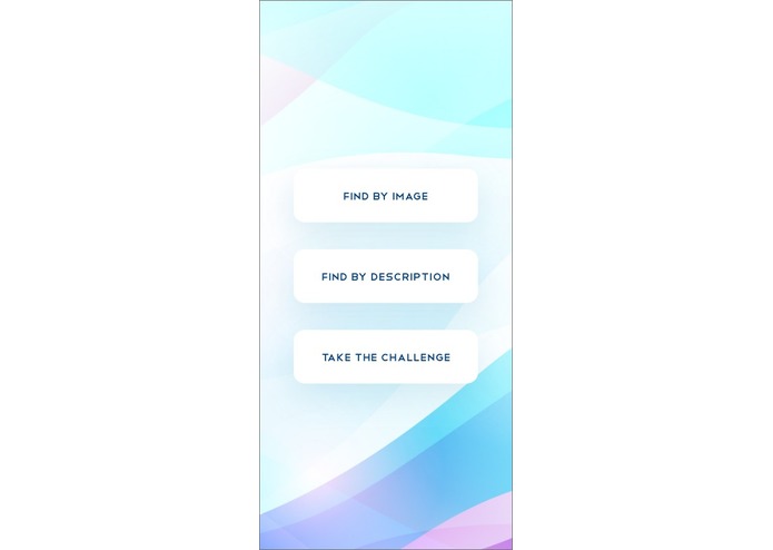 FlagSter – screenshot 2