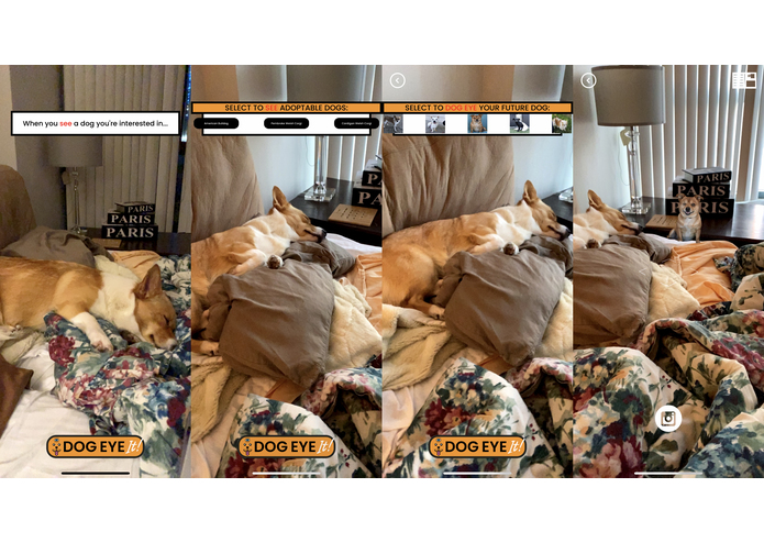 DogEye – screenshot 1