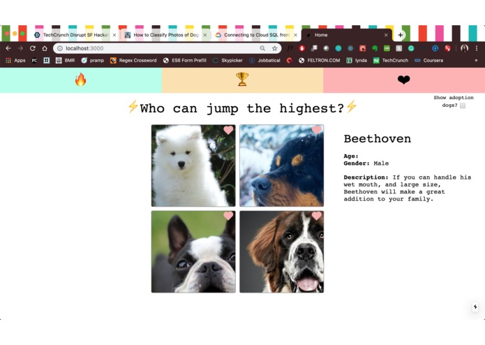 Boo – screenshot 2