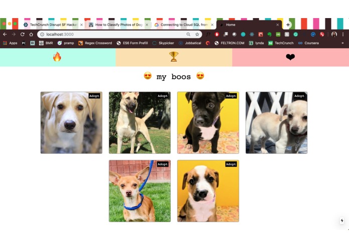 Boo – screenshot 3