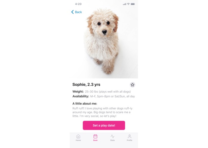 DogSwaggle – screenshot 3