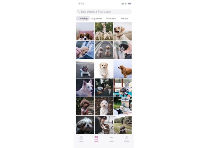 DogSwaggle – screenshot 5
