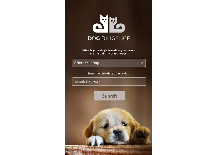 Dog Diligence – screenshot 1