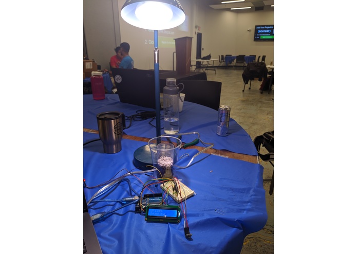 UV Light of My Life – screenshot 1