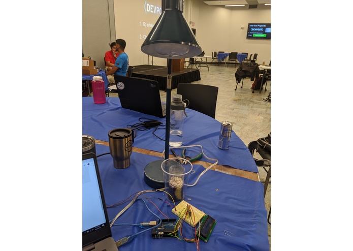 UV Light of My Life – screenshot 3