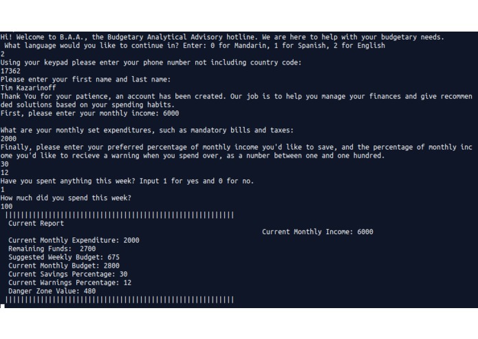 BAA: Budgetary Analytical Advisor – screenshot 1