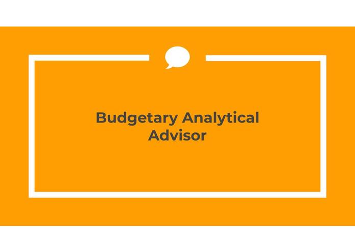 BAA: Budgetary Analytical Advisor – screenshot 3