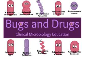Bugs vs Drugs: A Clinical Microbiology Teaching Game