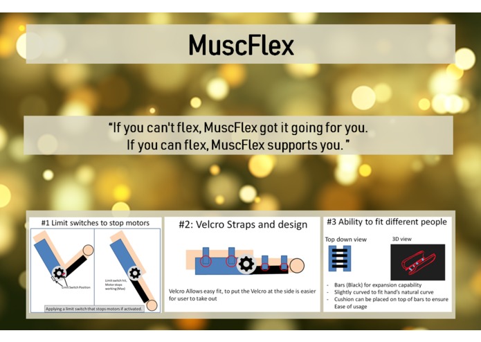 AW - MuscFlex – screenshot 2
