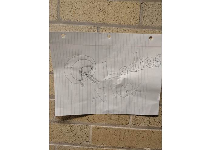 The R Ladies – screenshot 1