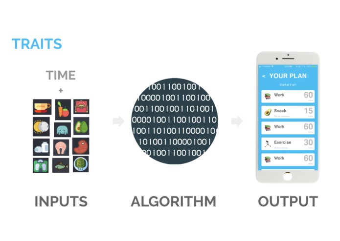 Routinome – screenshot 1