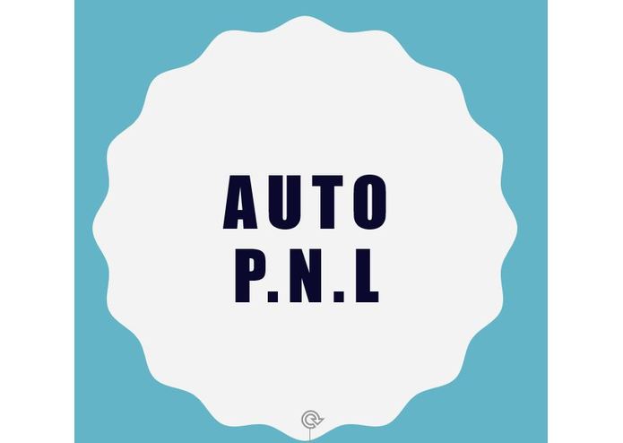 Auto P.N.L – screenshot 1