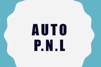 Auto P.N.L