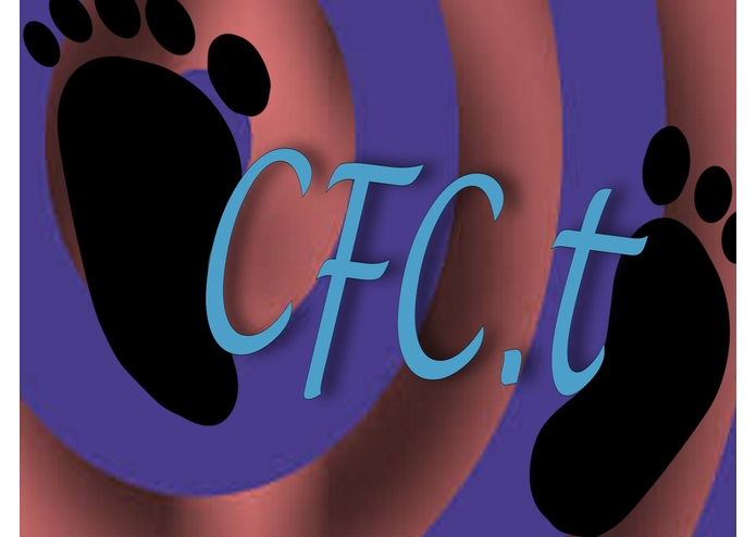 Carbon Foot Check.tech – screenshot 2