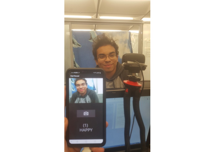 FeelReveal – screenshot 2