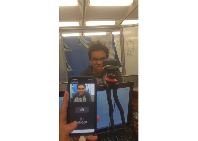 FeelReveal – screenshot 3