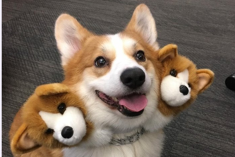 meatyyoureright.space