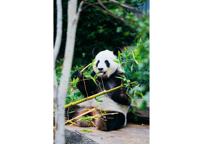 Error 404 – screenshot 1