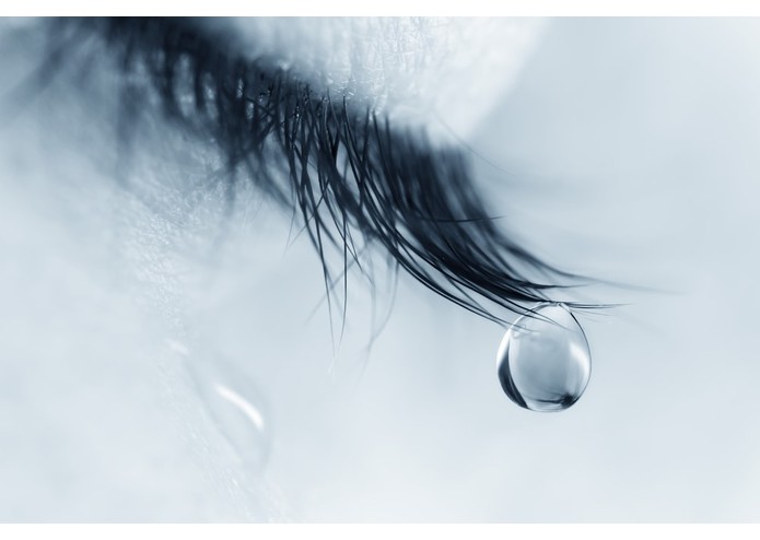 WeCry – screenshot 2