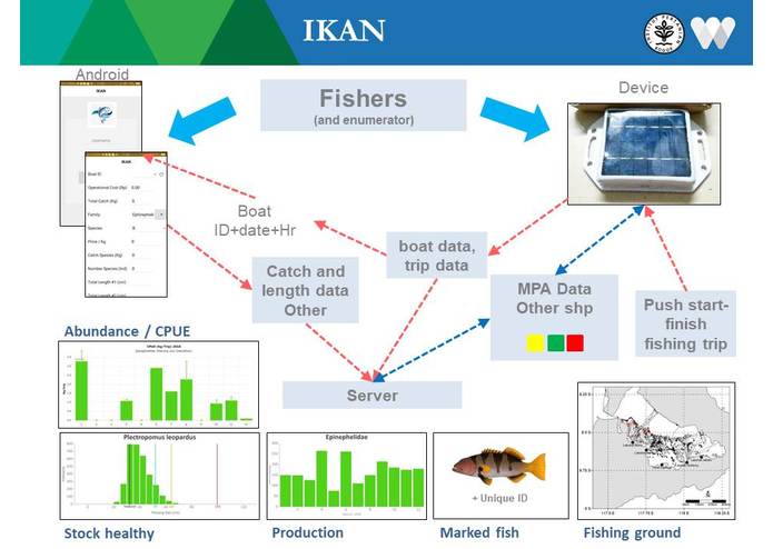 IKAN – screenshot 1
