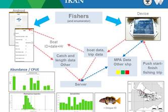 IKAN