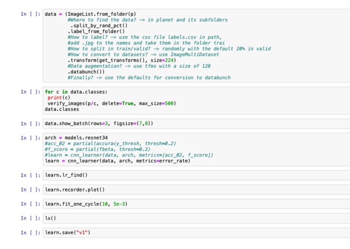 Save a Turtle's Life Classifier – screenshot 1