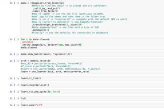 Save a Turtle's Life Classifier